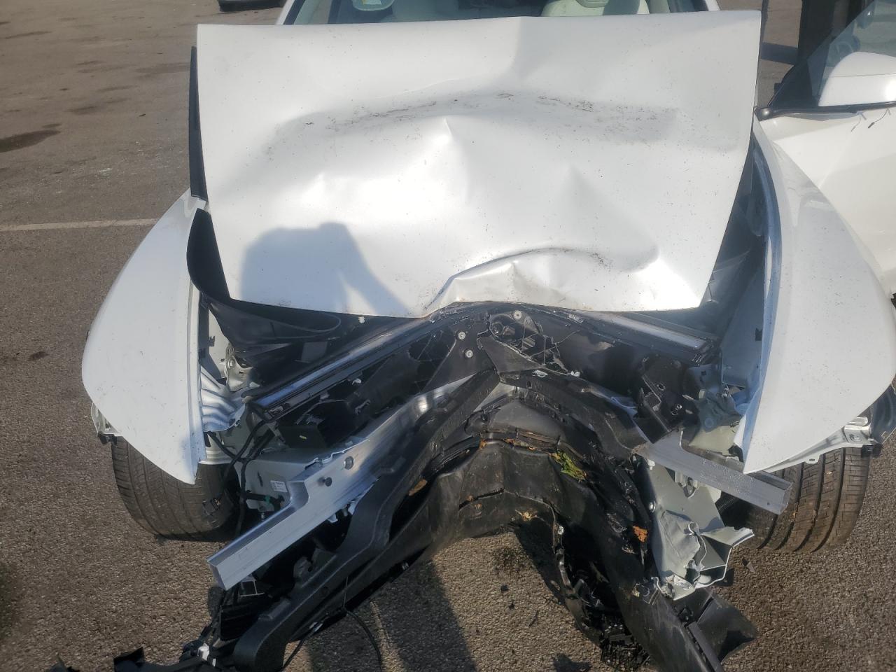 2026 Tesla Model Y VIN: 7SAYGDEEXTA487577 Lot: 81967425