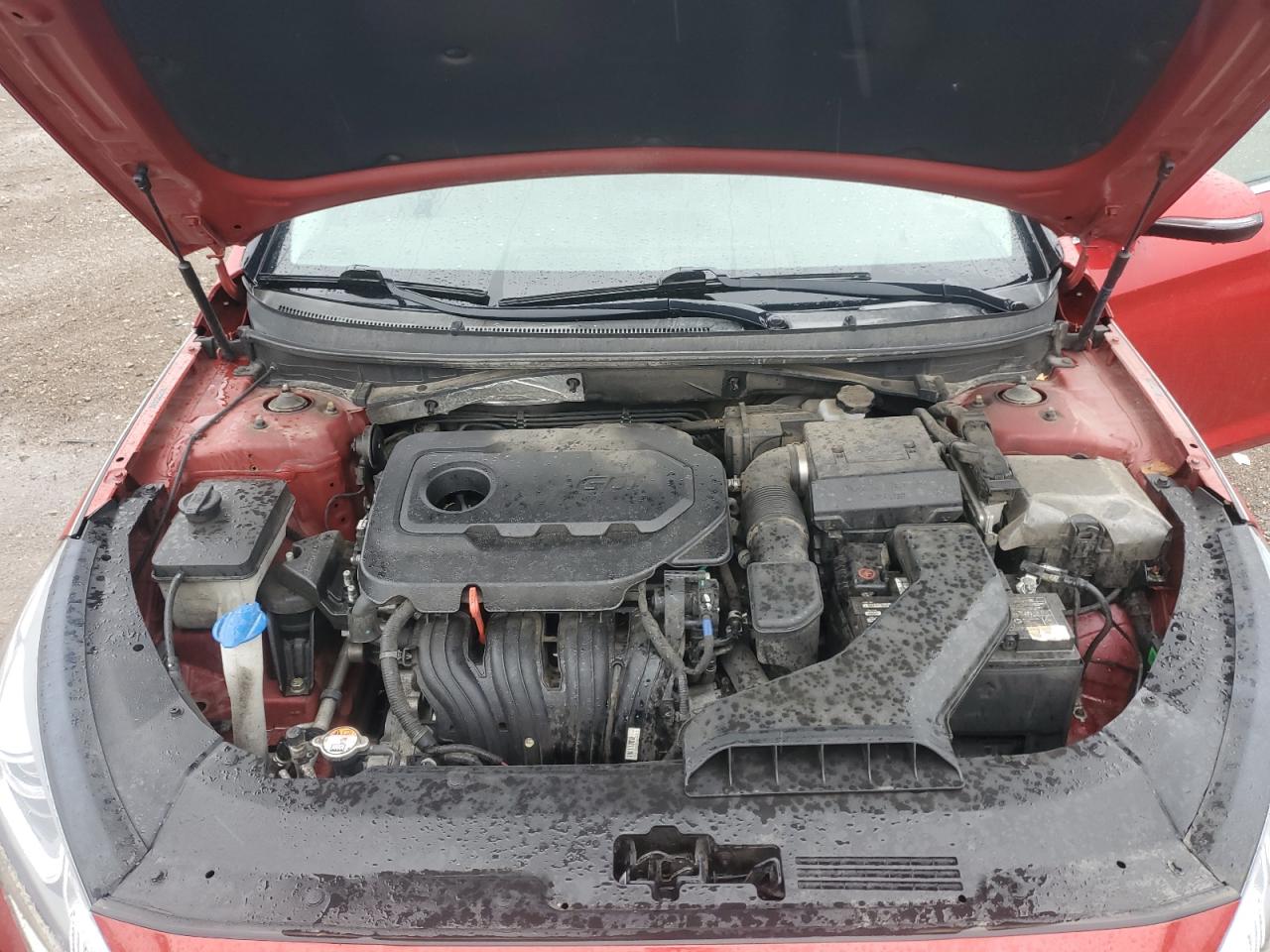 2019 Hyundai Sonata Limited VIN: 5NPE34AF7KH791396 Lot: 81540315