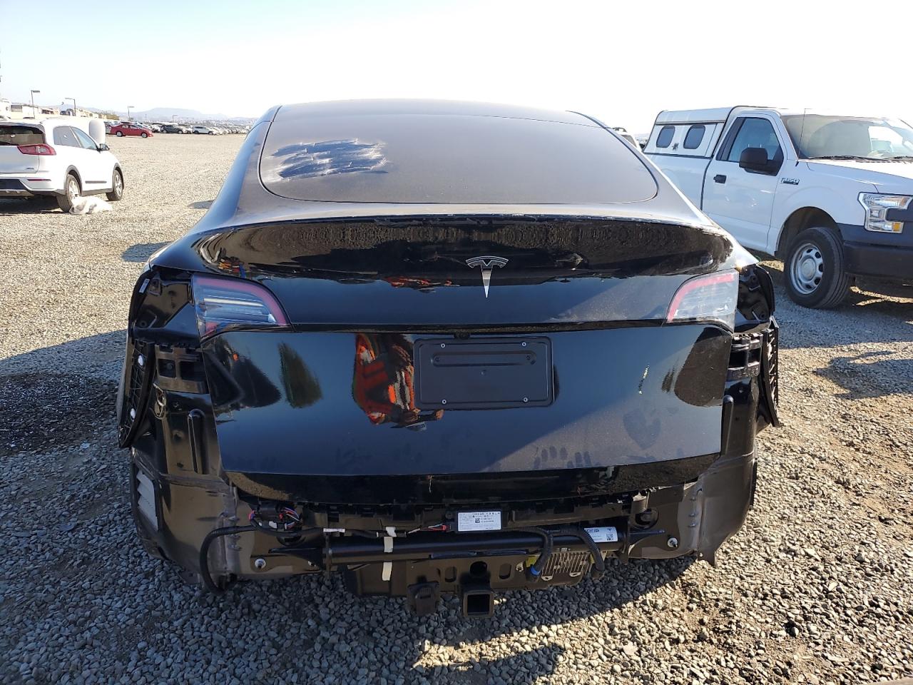 2025 Tesla Model Y VIN: 7SAYGDEF3SF302313 Lot: 80568965