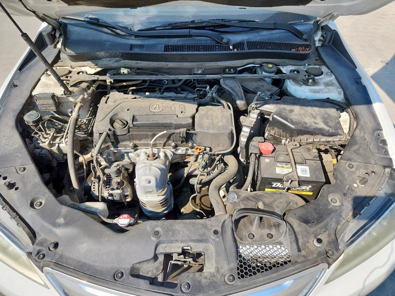 2016 Acura Tlx VIN: 19UUB1F34GA007803 Lot: 81649235