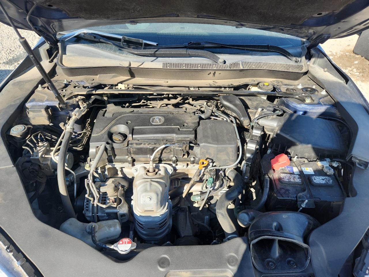 2019 Acura Tlx Technology VIN: 19UUB1F50KA004522 Lot: 80091035