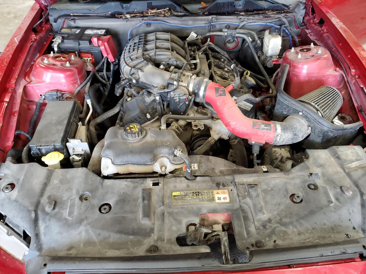 2013 Ford Mustang VIN: 1ZVBP8AM8D5259426 Lot: 81711675