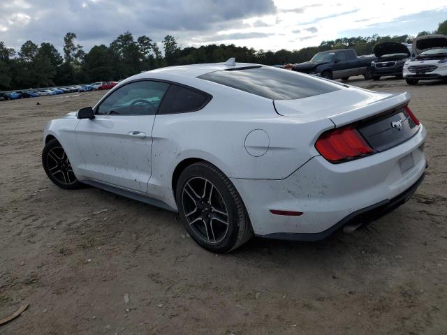  FORD ALL Models 2023 Белы