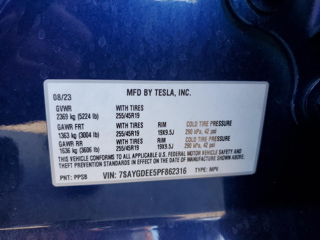 2023 Tesla Model Y VIN: 7SAYGDEE5PF862316 Lot: 81686415