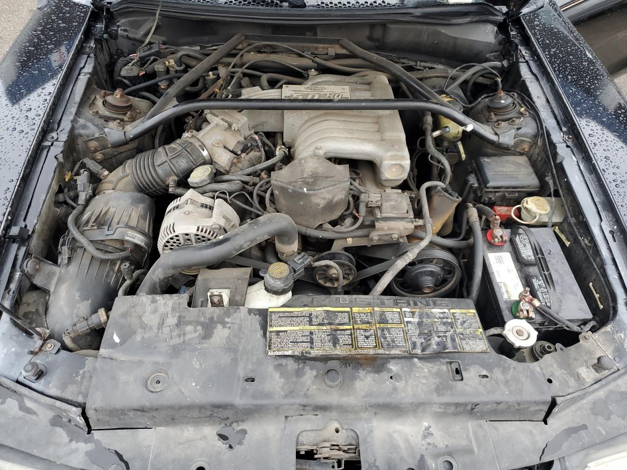 1995 Ford Mustang Gt VIN: 1FALP45T4SF278084 Lot: 82127645