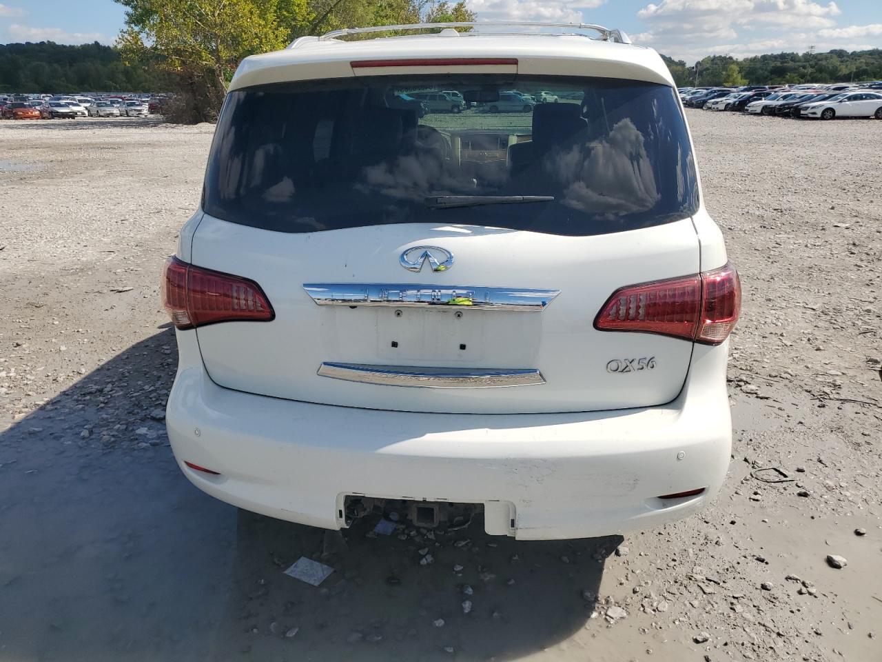 2013 Infiniti Qx56 VIN: JN8AZ2NEXD9041834 Lot: 84028385