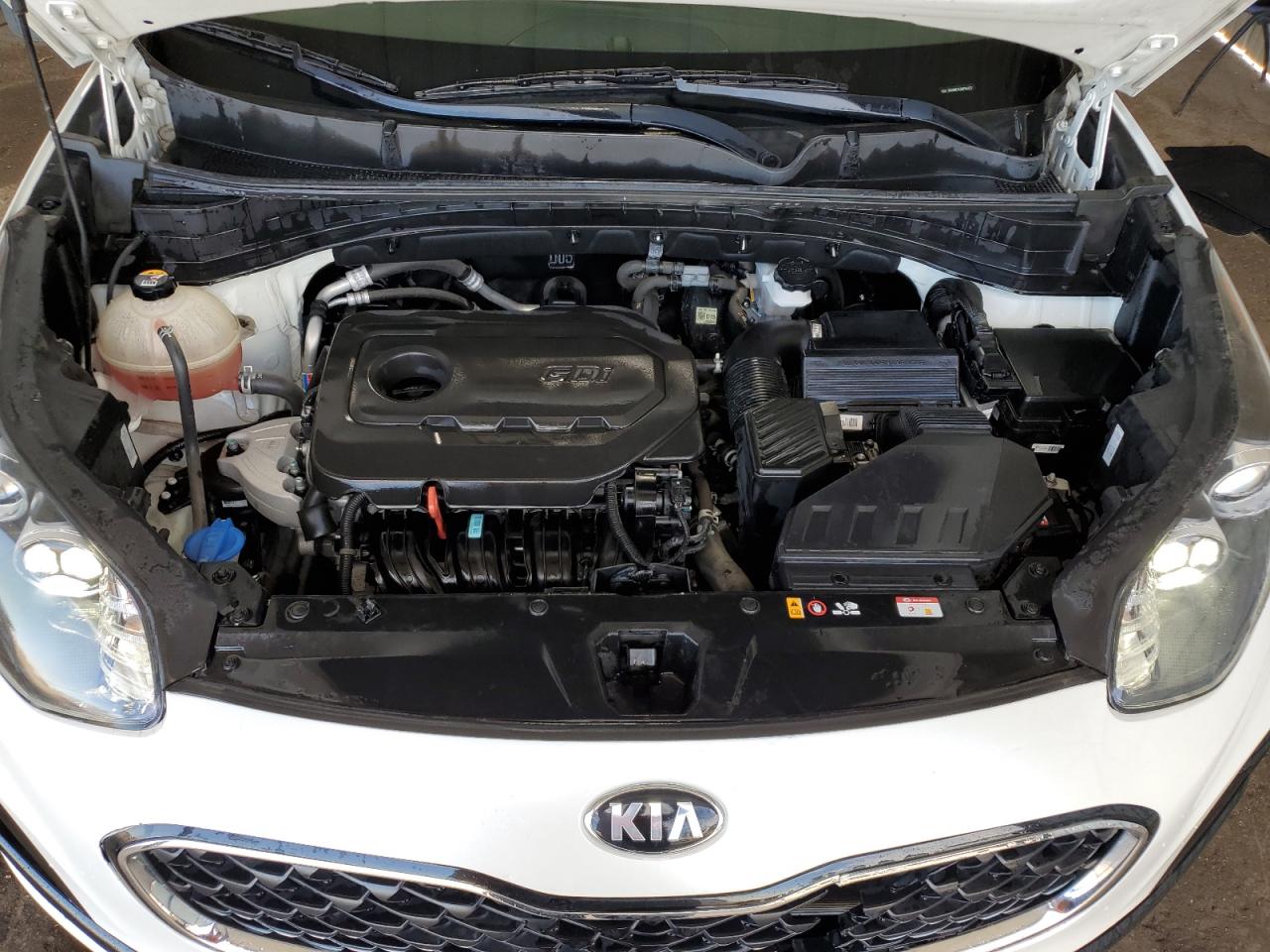 2022 Kia Sportage Lx VIN: KNDPMCAC0N7969552 Lot: 81124175