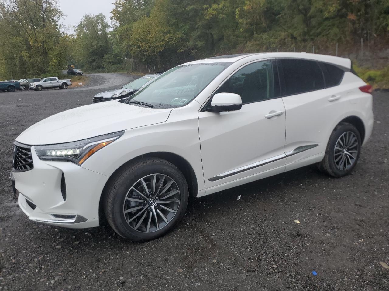 2025 Acura Rdx Advance 5J8TC2H78SL025653 photo #1