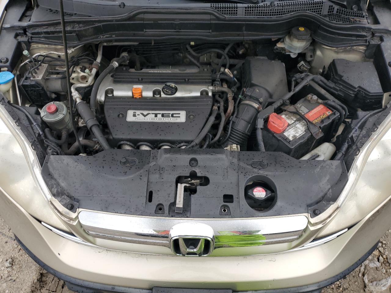 2007 Honda Cr-V Ex VIN: JHLRE485X7C086087 Lot: 84049625