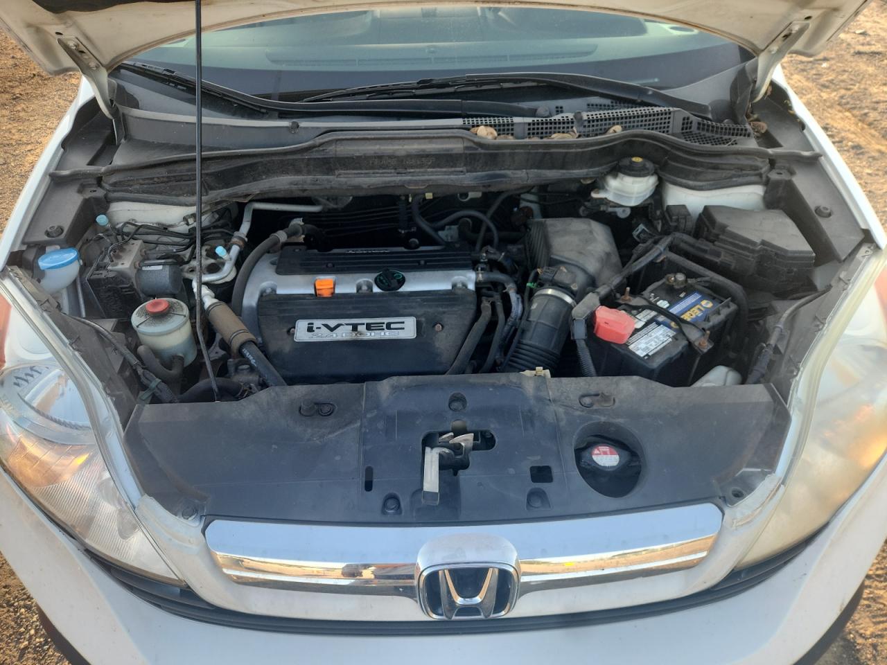 2009 Honda Cr-V Exl VIN: 5J6RE48709L037248 Lot: 80020395