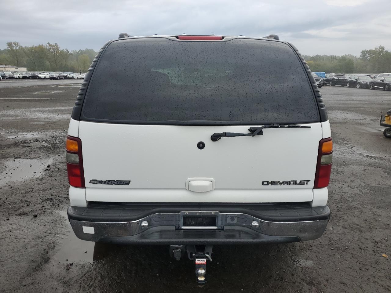 2001 Chevrolet Tahoe K1500 VIN: 1GNEK13T61J100084 Lot: 83929515