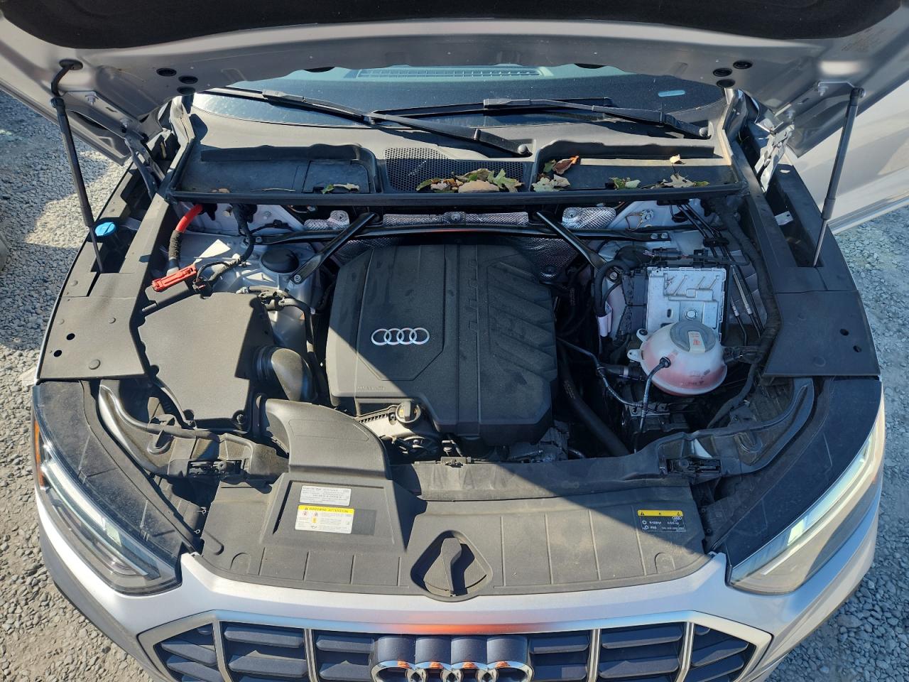 2021 Audi Q5 Premium Plus VIN: WA1BAAFY4M2021088 Lot: 81545175