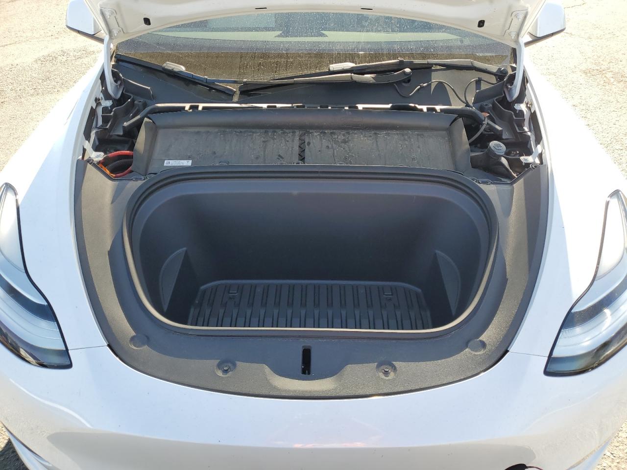 2023 Tesla Model Y VIN: 7SAYGDEE1PA146395 Lot: 84204145