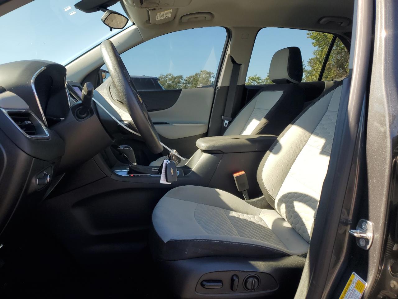 2019 Chevrolet Equinox Ls VIN: 3GNAXHEV5KS621059 Lot: 71537725