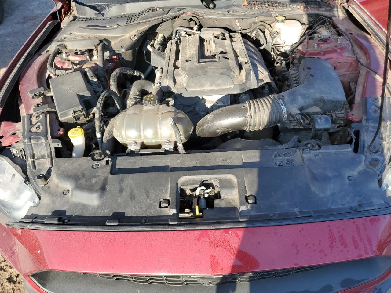 2019 Ford Mustang VIN: 1FA6P8THXK5194683 Lot: 84586535