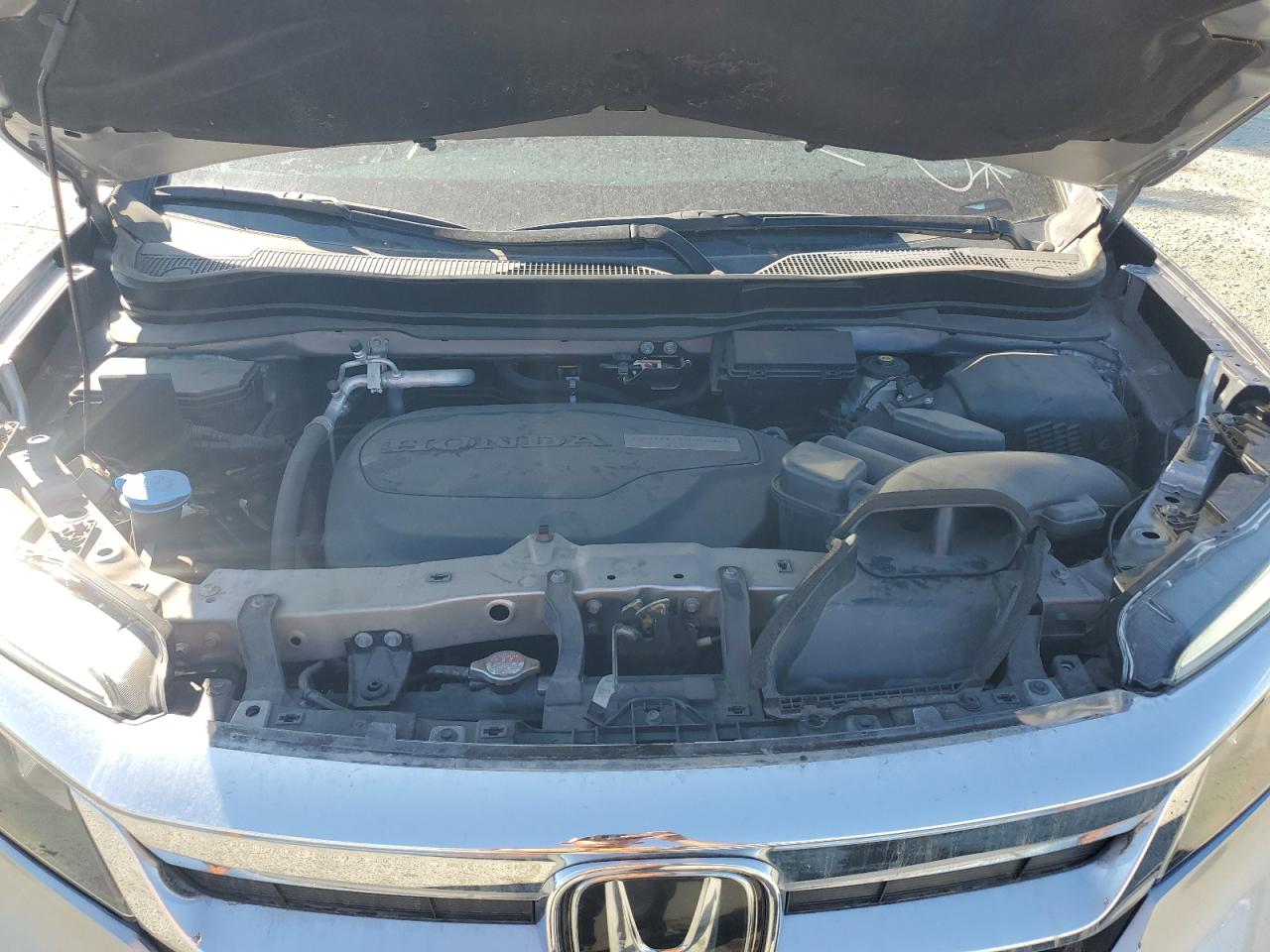 2019 Honda Pilot Exl VIN: 5FNYF5H58KB040328 Lot: 80876145