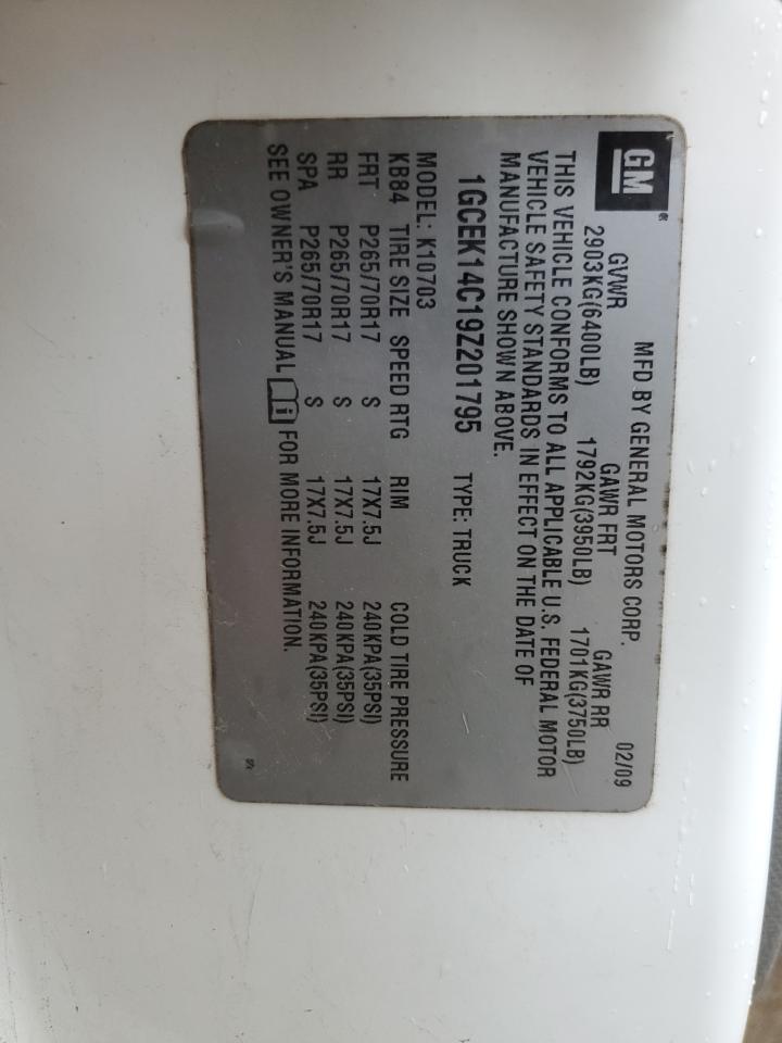 2009 Chevrolet Silverado K1500 VIN: 1GCEK14C19Z201795 Lot: 71593505