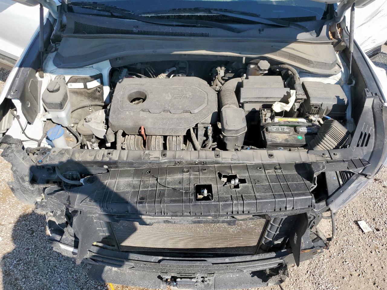 2020 Hyundai Santa Fe Limited VIN: 5NMS53AD6LH209499 Lot: 71112505