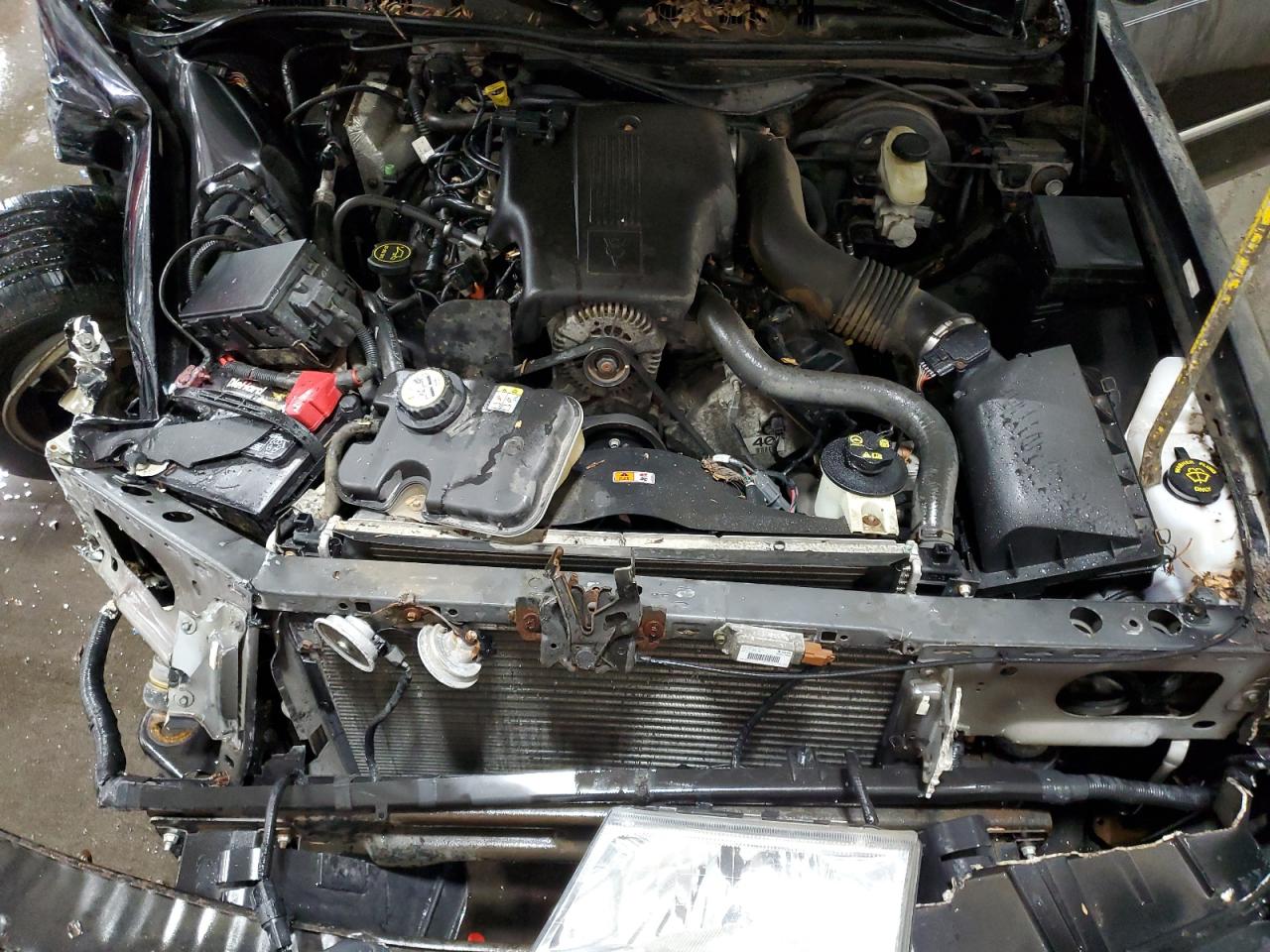 2004 Mercury Grand Marquis Ls VIN: 2MEHM75W04X634640 Lot: 83802275