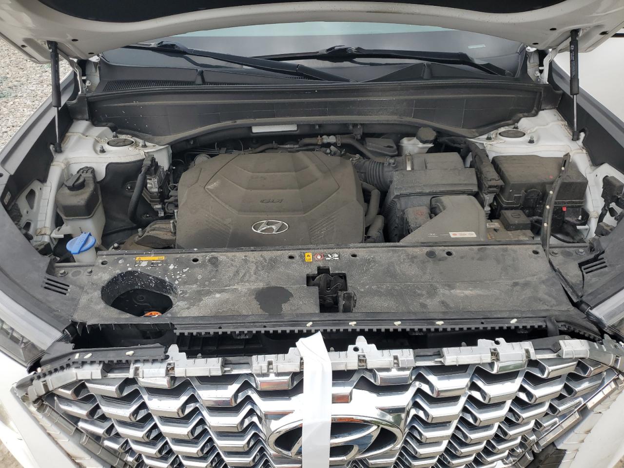 2020 Hyundai Palisade Sel VIN: KM8R34HE4LU094544 Lot: 69973975