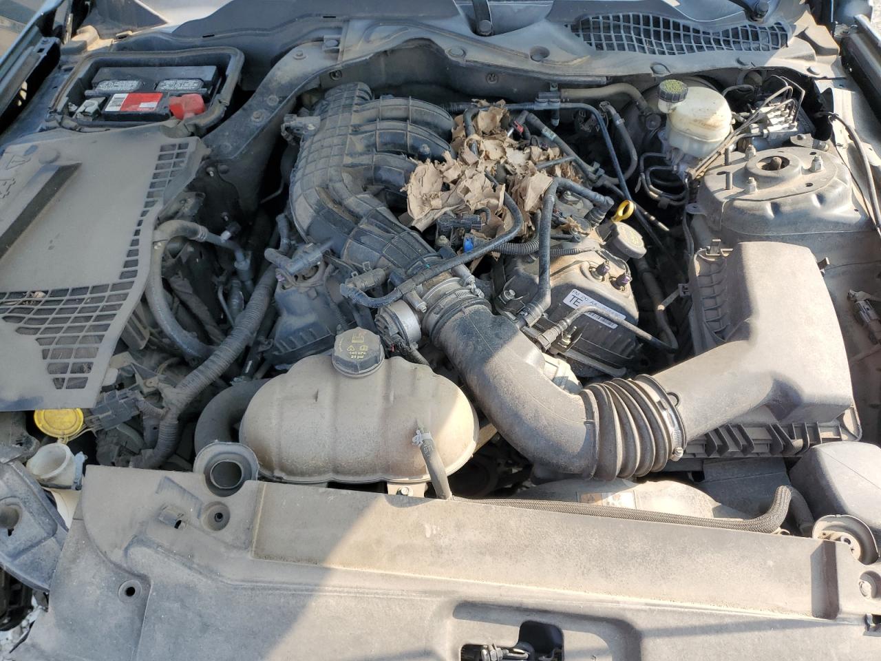 1FA6P8AM0F5384997 2015 Ford Mustang