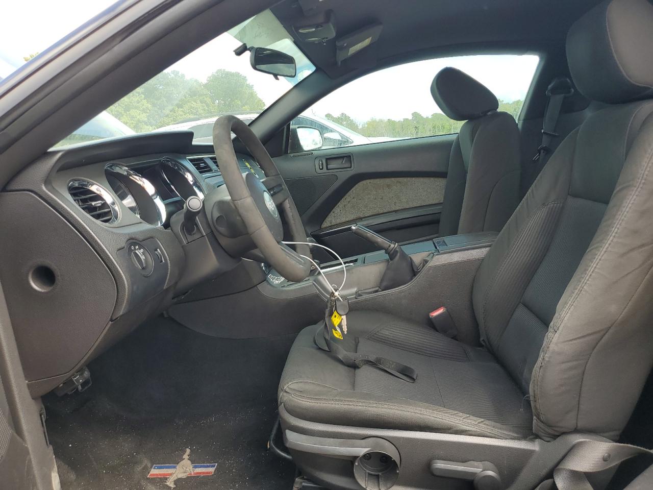 2010 Ford Mustang VIN: 1ZVBP8AN0A5134117 Lot: 80562895