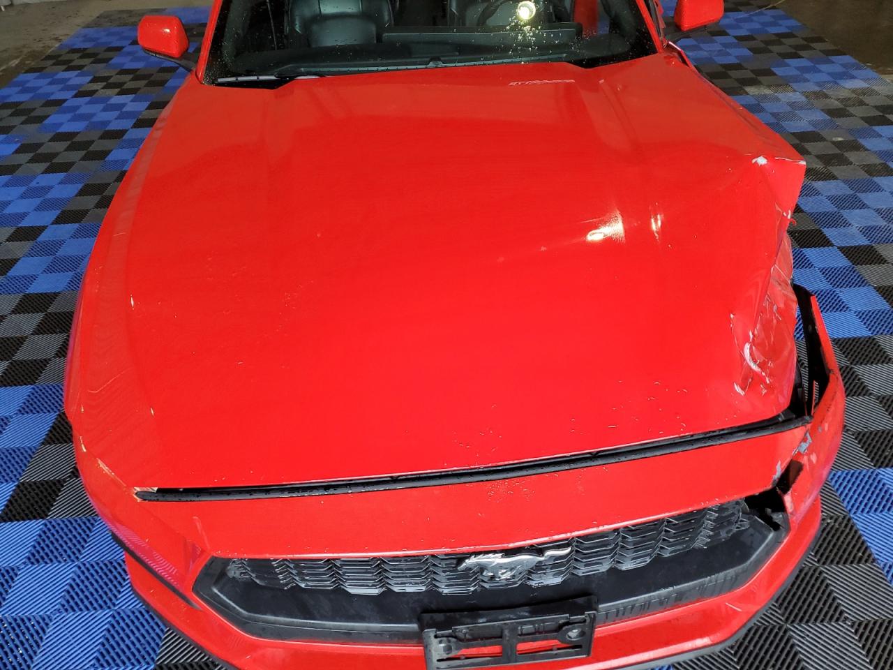 2024 Ford Mustang VIN: 1FA6P8TH5R5120520 Lot: 71545895