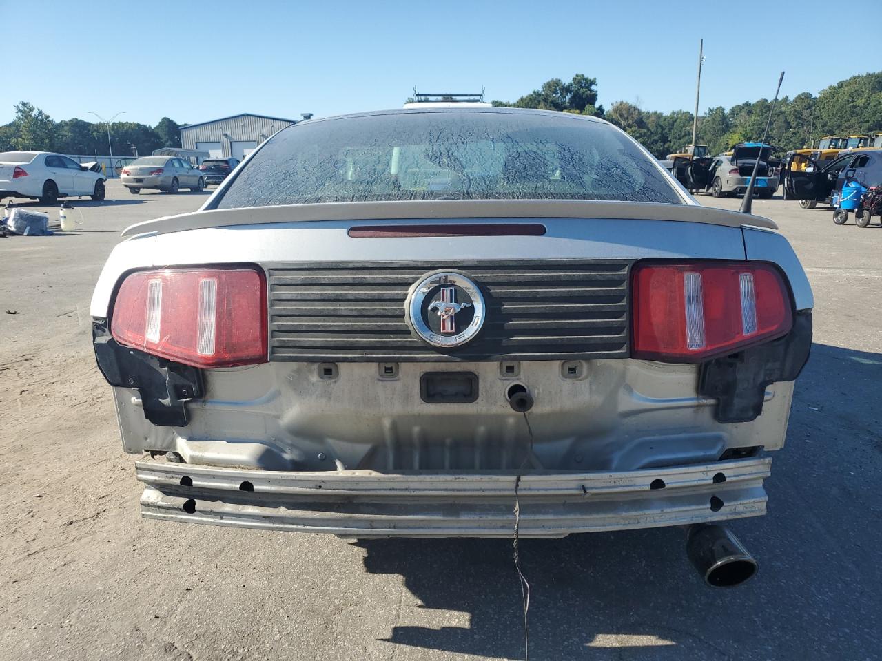 2010 Ford Mustang VIN: 1ZVBP8AN5A5151320 Lot: 71058735