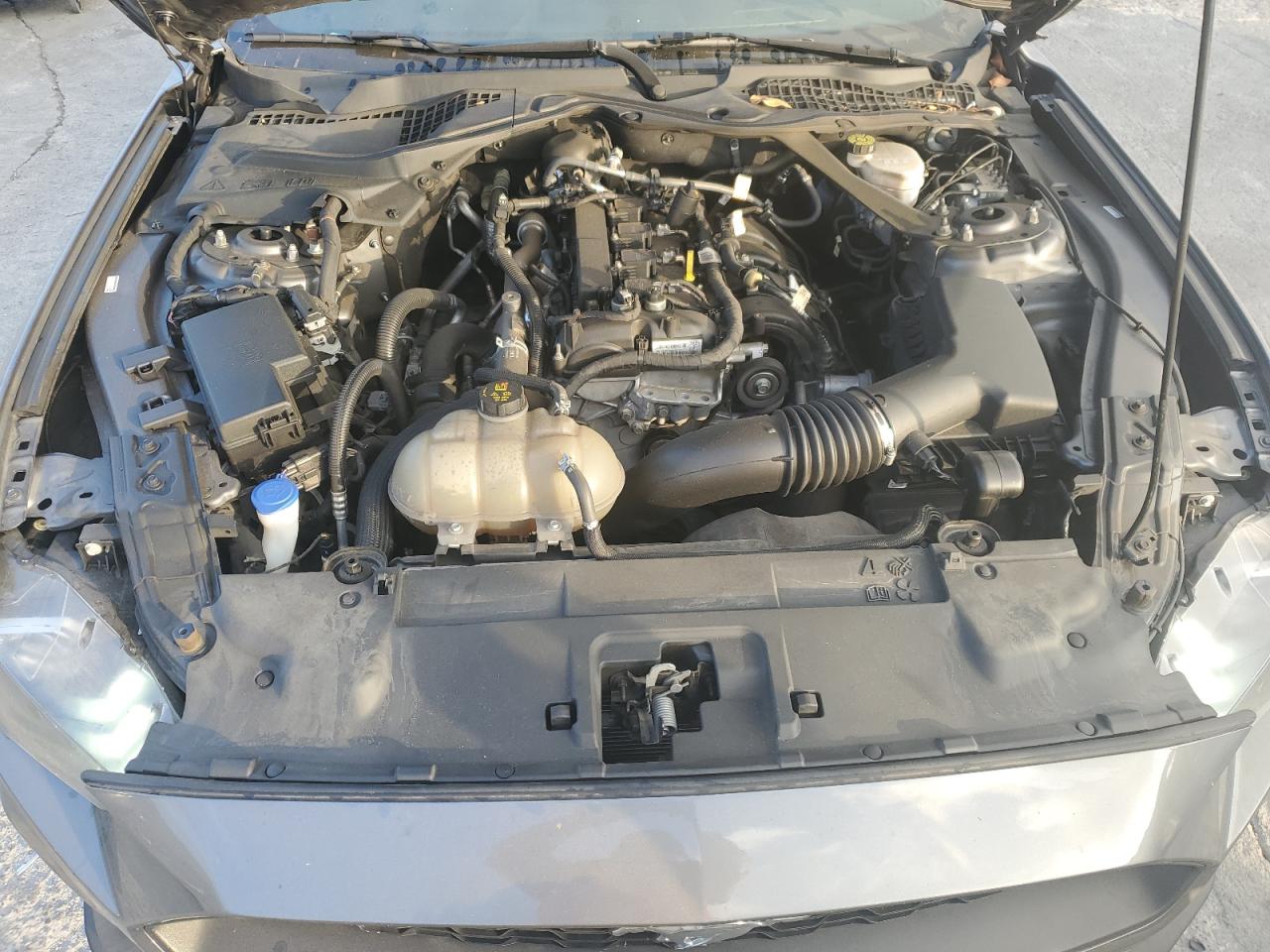 2022 Ford Mustang VIN: 1FATP8UHXN5106365 Lot: 71986985