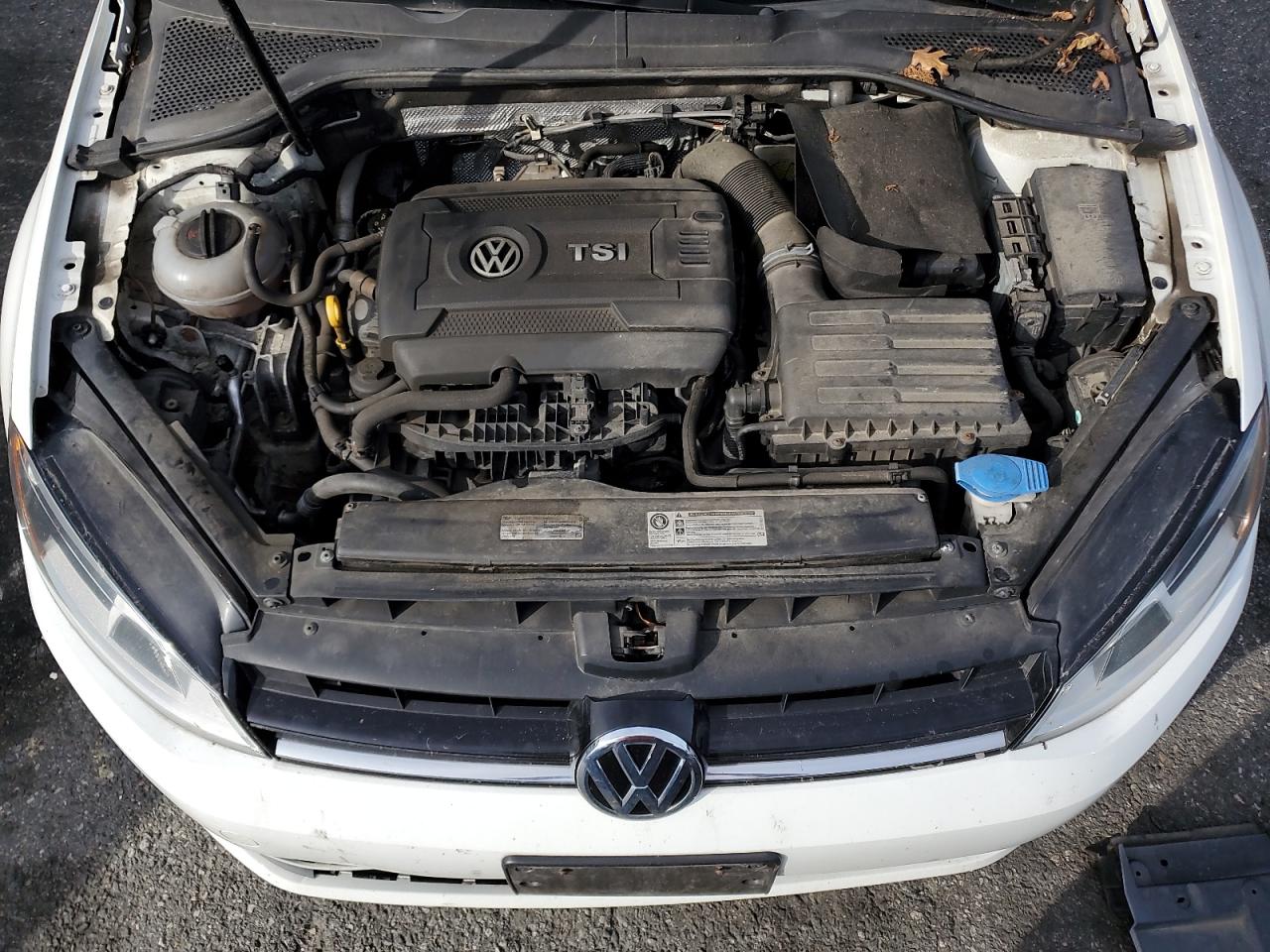 2016 Volkswagen Golf Sportwagen S VIN: 3VWA17AU1GM517629 Lot: 81814365