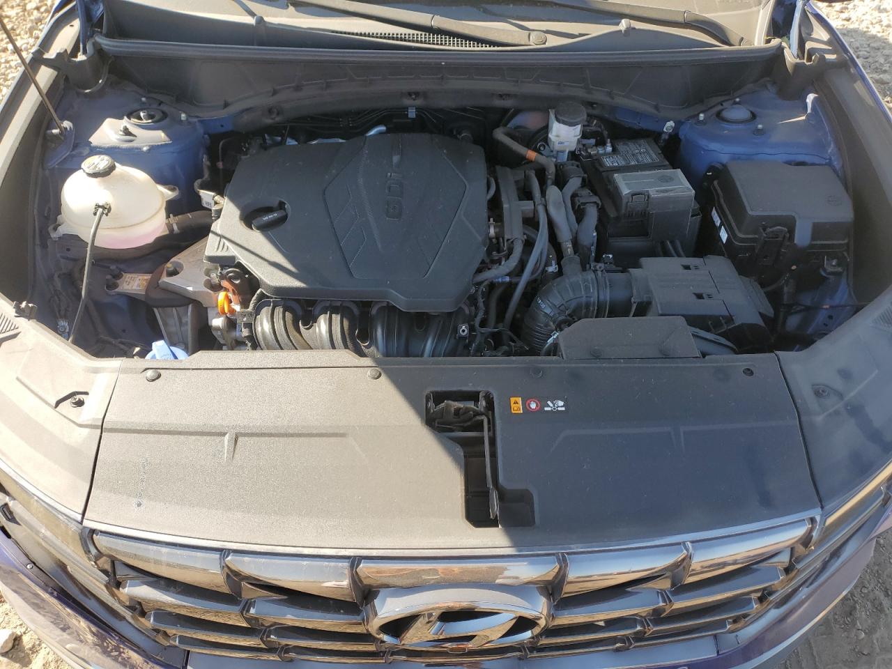 2023 Hyundai Tucson Limited VIN: 5NMJECAE4PH256427 Lot: 84220655