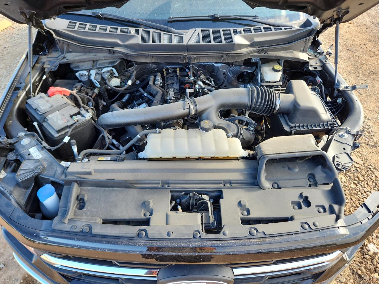 2024 Ford F150 Xlt VIN: 1FTEW3K85RFA17699 Lot: 81895695