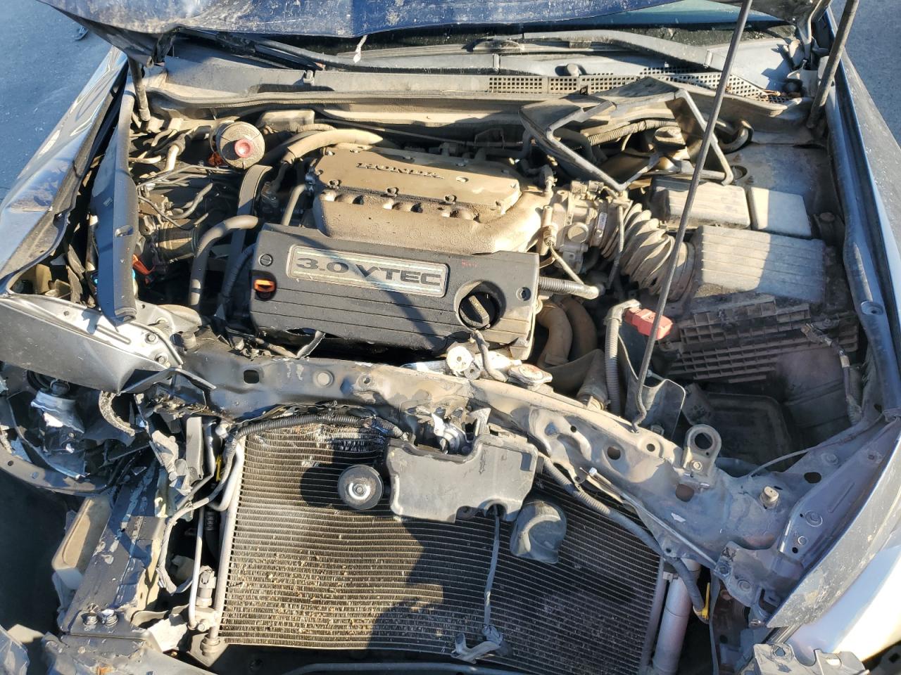 2004 Honda Accord Ex VIN: 1HGCM66564A031035 Lot: 81697225