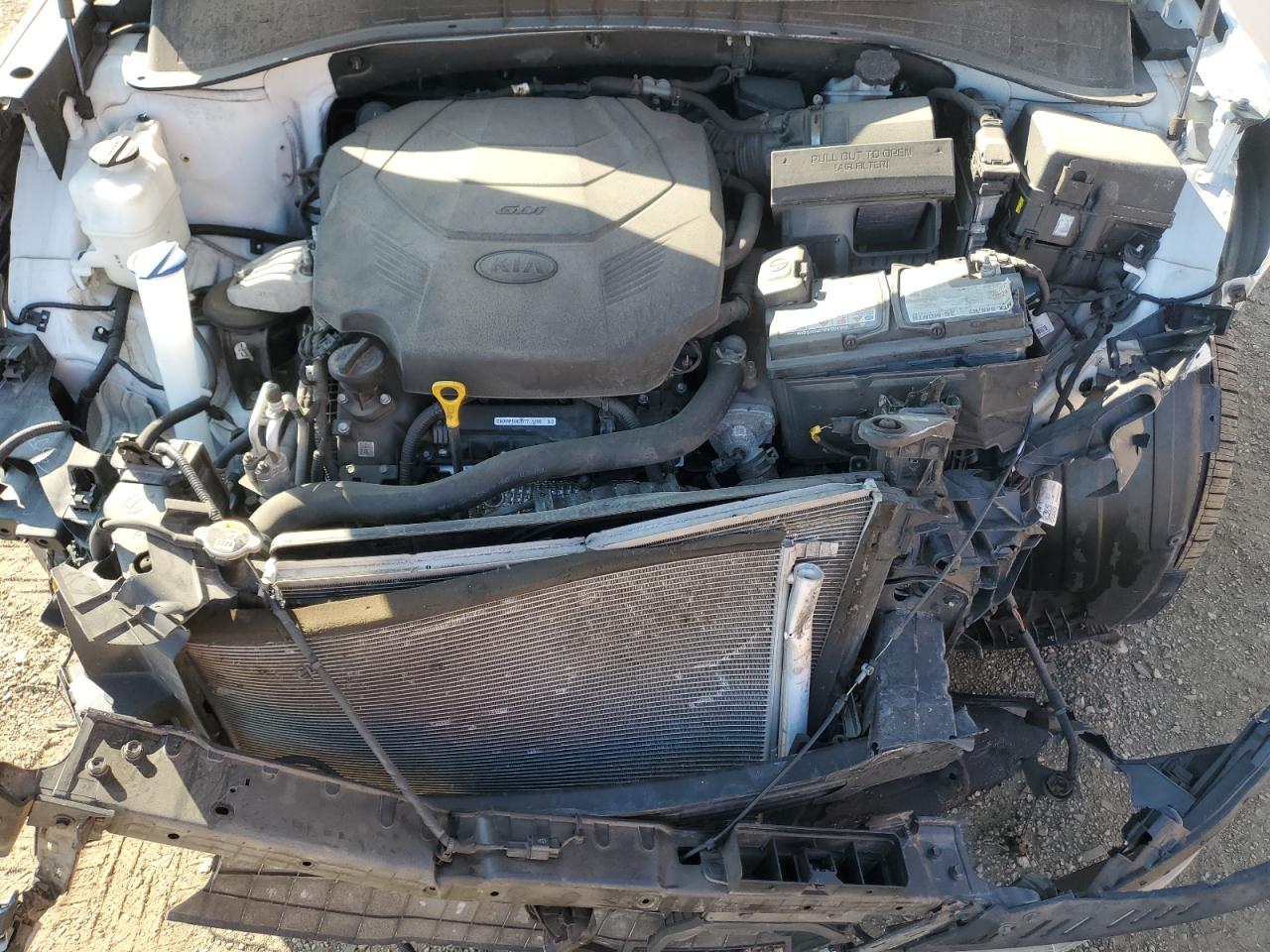 2020 Kia Sorento Sx VIN: 5XYPKDA51LG673677 Lot: 80950605