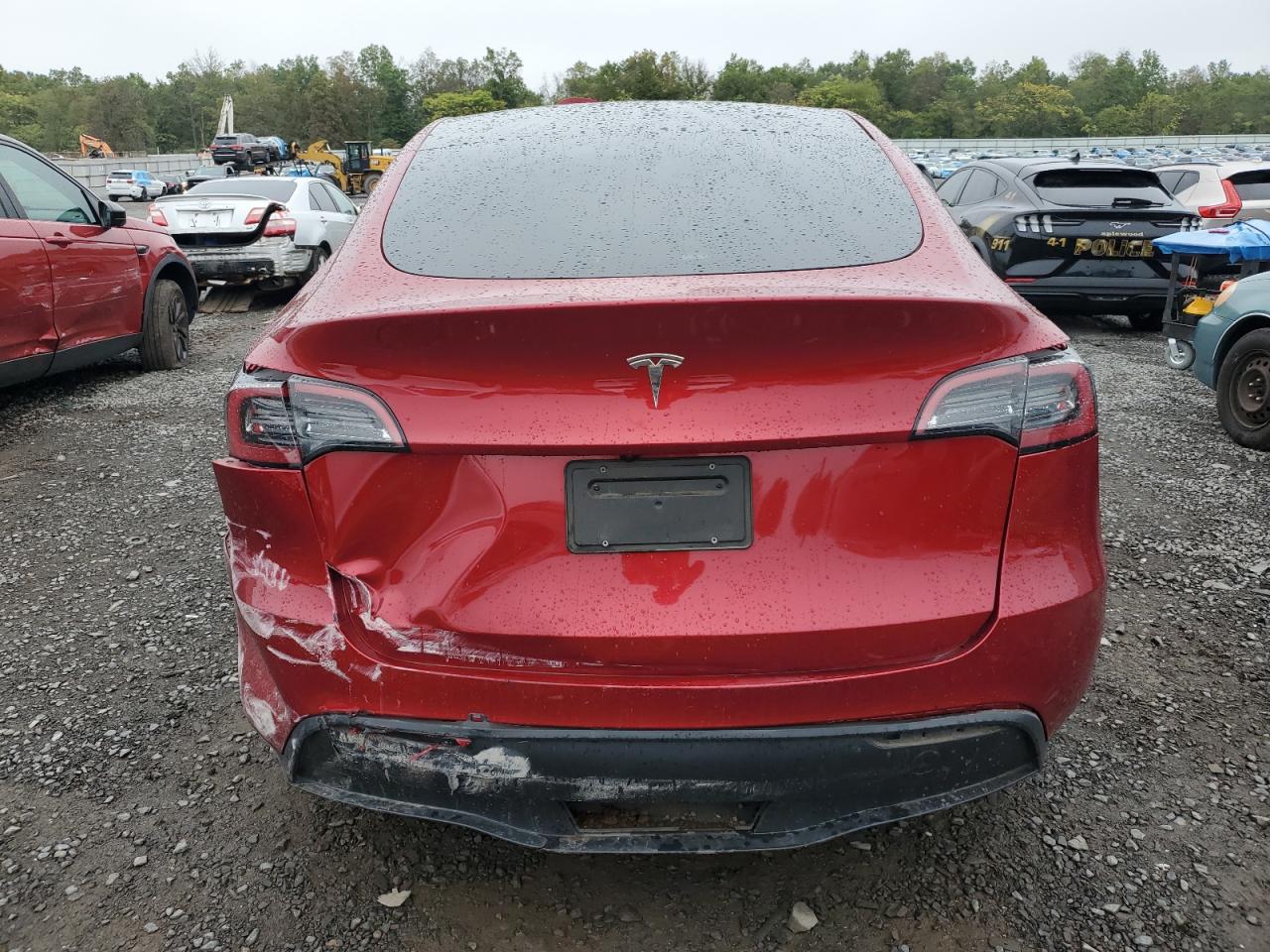 2024 Tesla Model Y VIN: 7SAYGDED4RF045929 Lot: 84024065