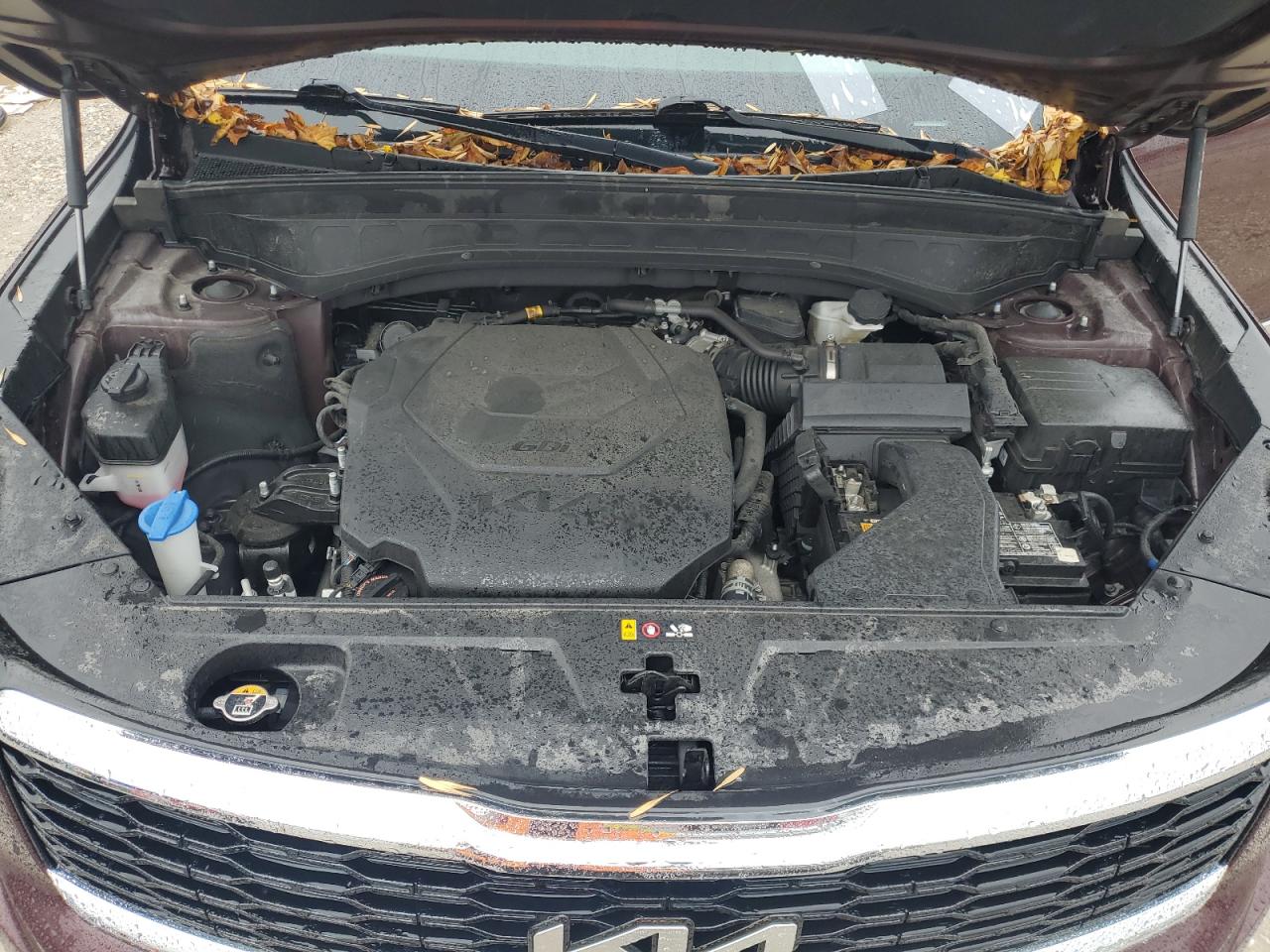 2022 Kia Telluride Lx VIN: 5XYP2DHC9NG200536 Lot: 81608745