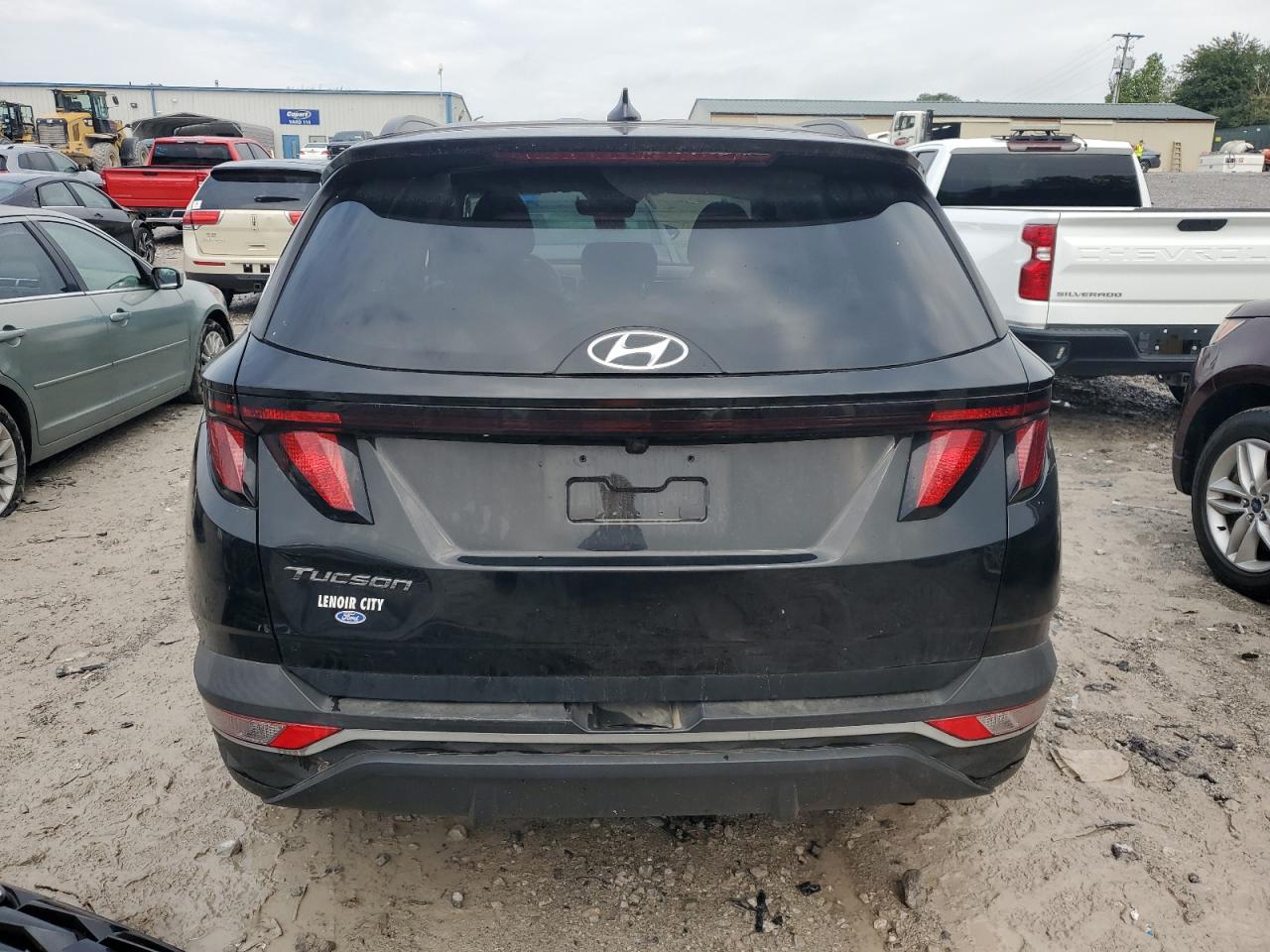 2024 Hyundai Tucson Sel VIN: 5NMJB3DE0RH321992 Lot: 81630365