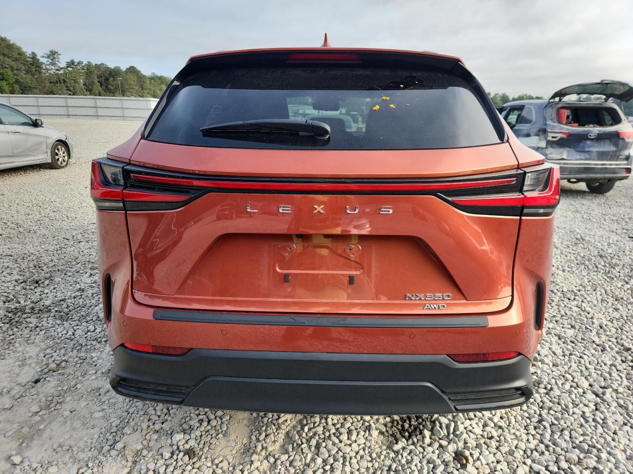 2023 Lexus Nx 350 VIN: 2T2GGCEZ2PC025383 Lot: 81706925