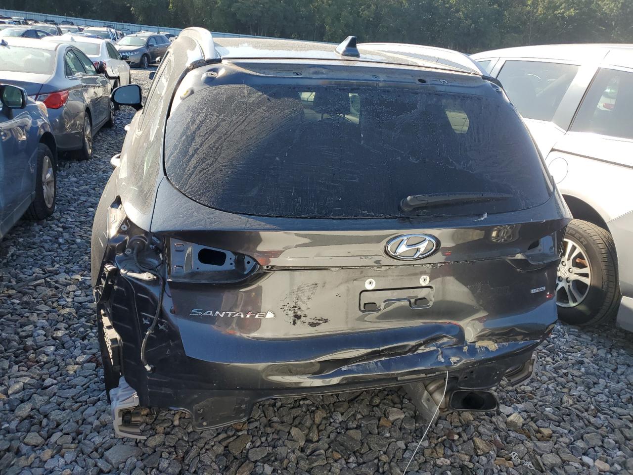 2020 Hyundai Santa Fe Sel VIN: 5NMS3CAD8LH265160 Lot: 71736905