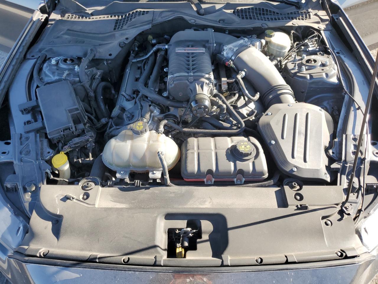 2016 Ford Mustang Gt VIN: 1FA6P8CF7G5202809 Lot: 81241885