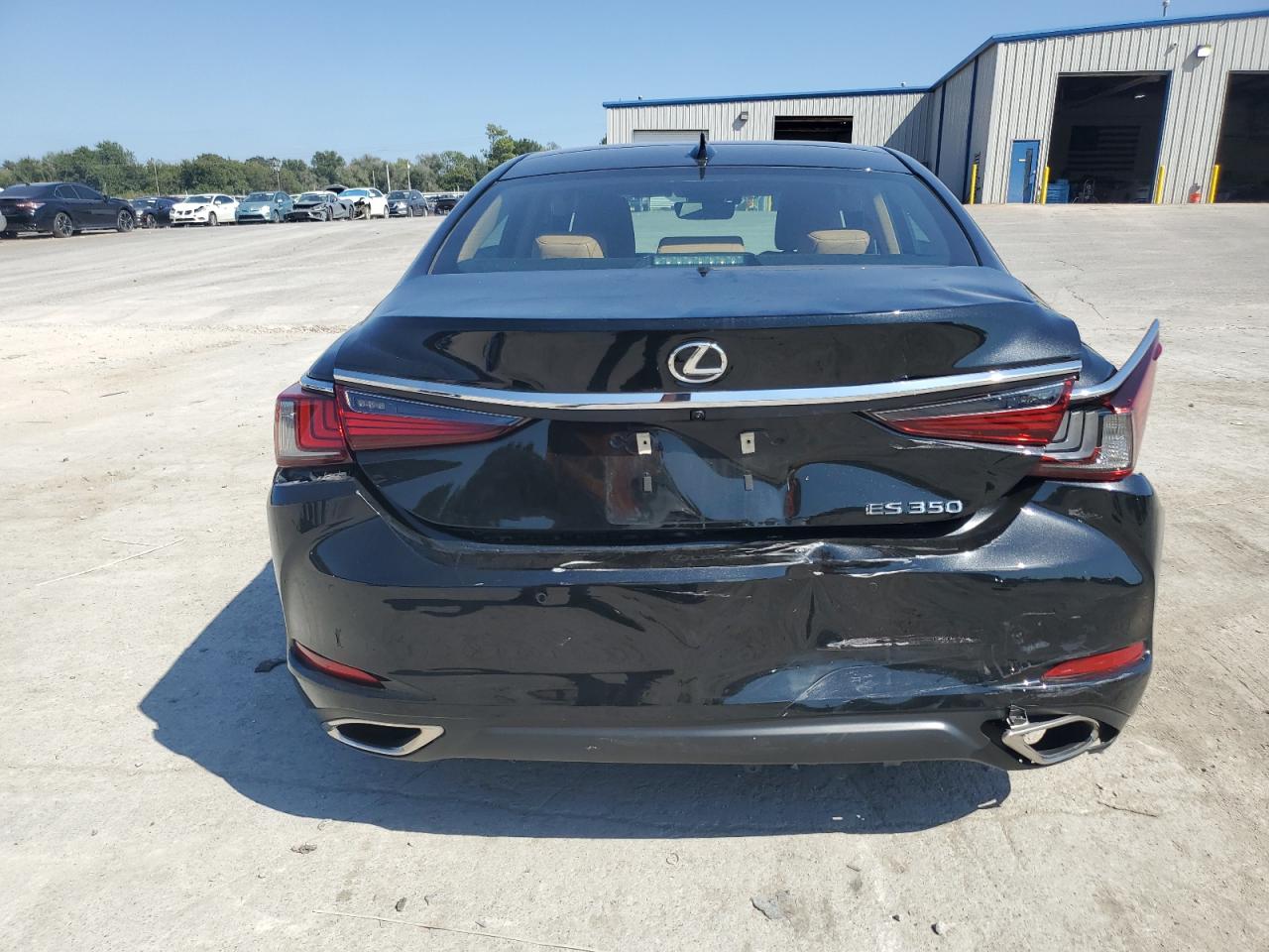 2023 Lexus Es 350 Base VIN: 58ADZ1B18PU152554 Lot: 81908515