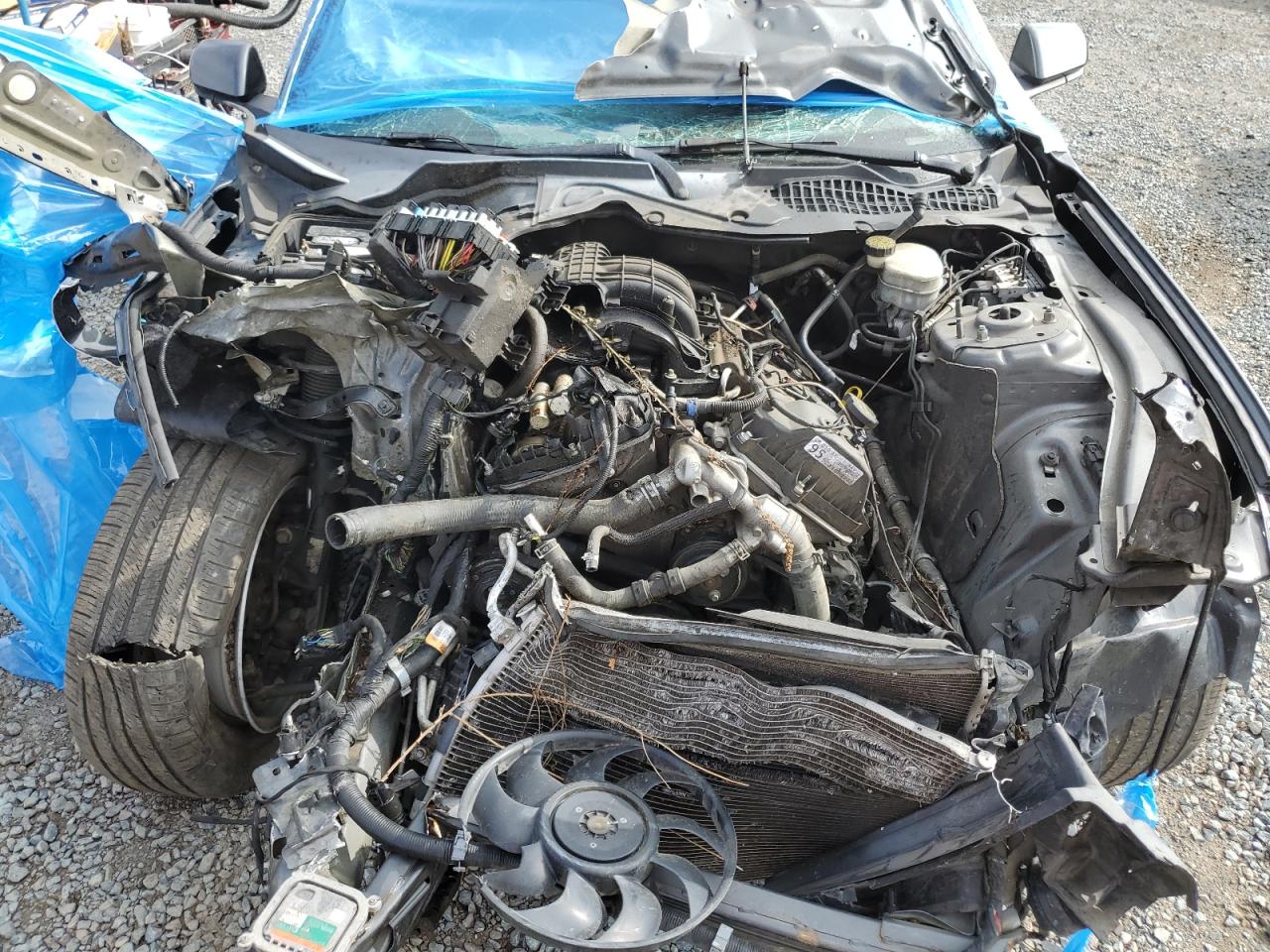 2016 Ford Mustang VIN: 1FA6P8AM6G5303681 Lot: 81256505