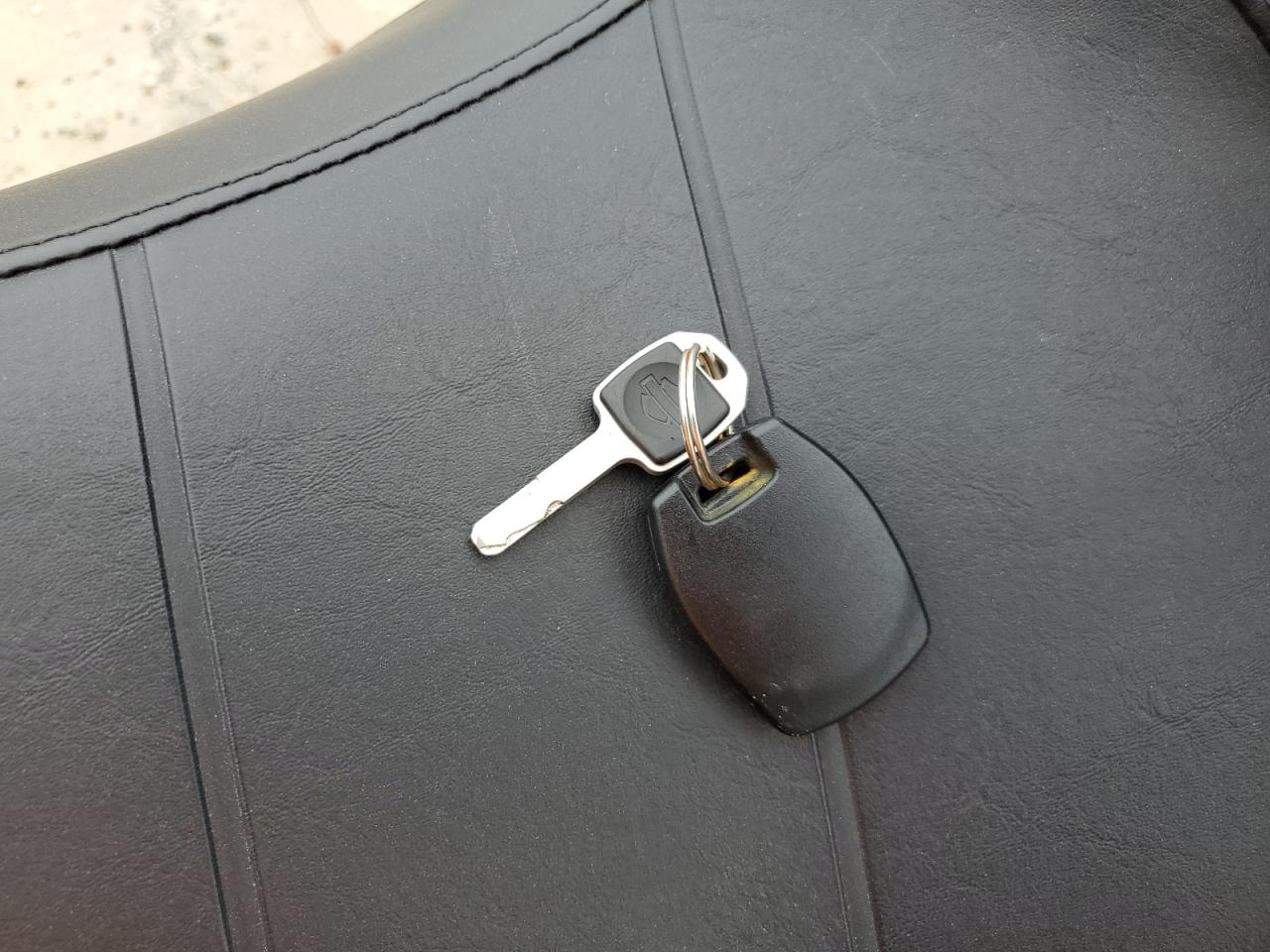 2025 Harley-Davidson Fxlrs VIN: 1HD1YWA16SB024932 Lot: 80786355