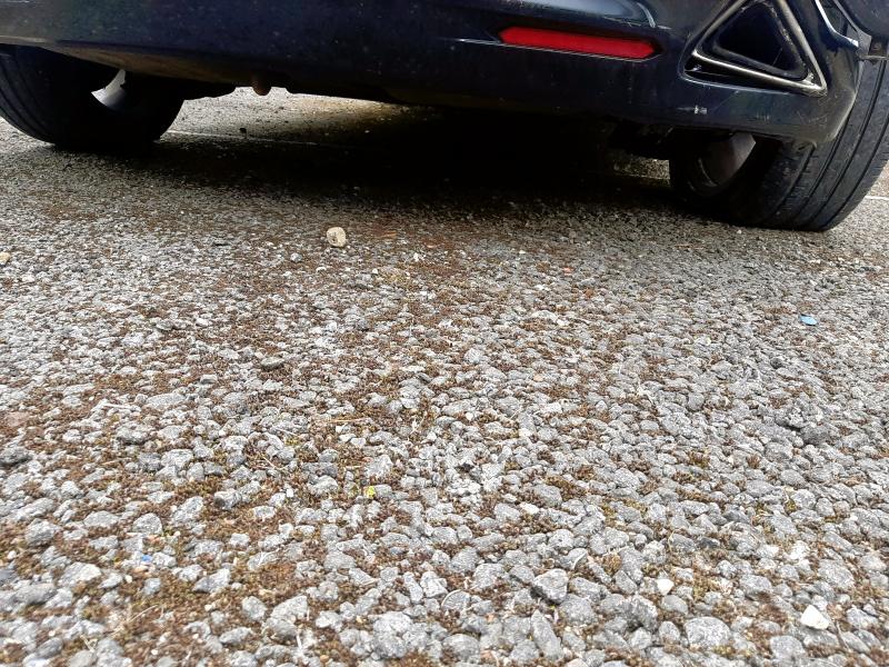 2010 HONDA CIVIC 1.8 I-VTEC SI-T 5DR