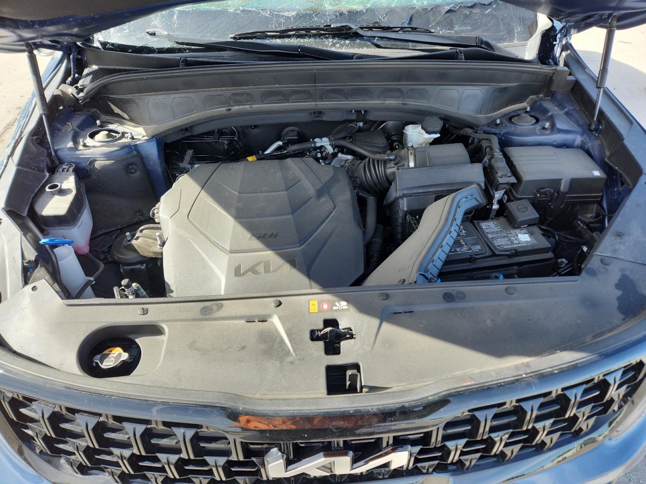 2024 Kia Telluride Ex VIN: 5XYP3DGC3RG561510 Lot: 84289185