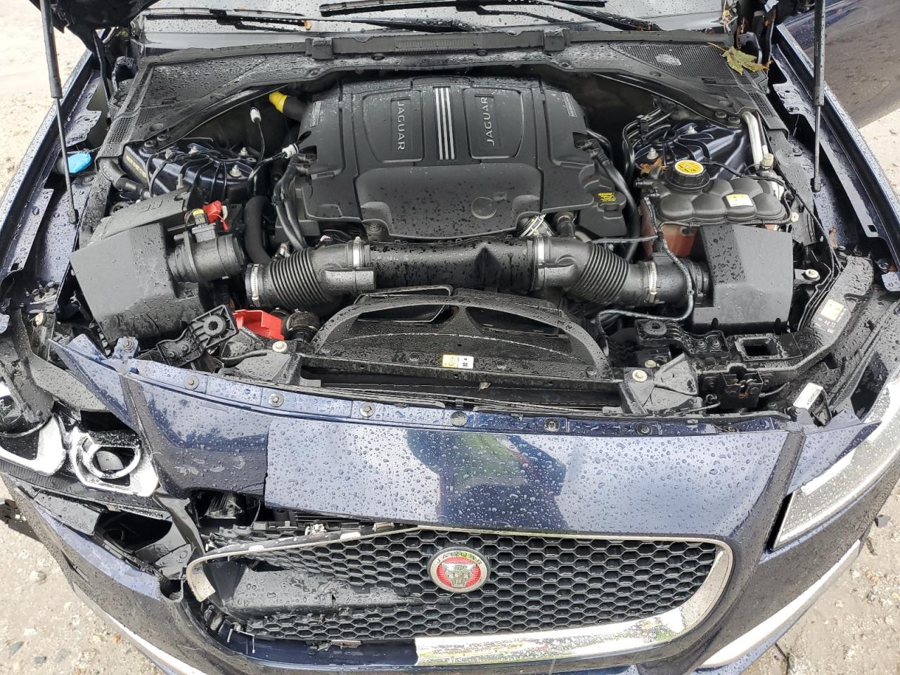 2016 Jaguar Xf Prestige VIN: SAJBK4BV9GCY21482 Lot: 81254335