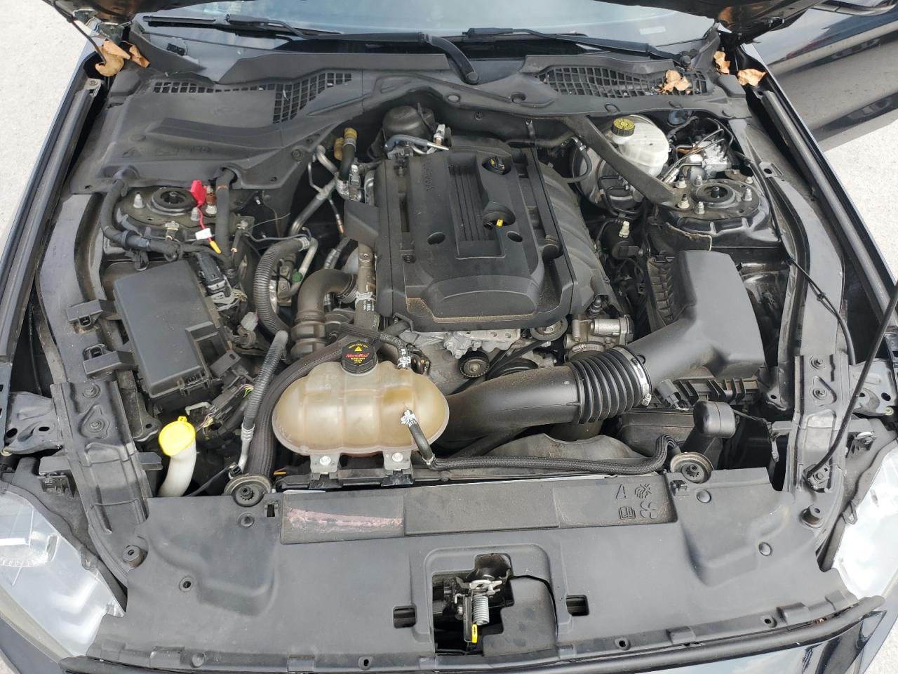 2018 Ford Mustang VIN: 1FATP8UH2J5155392 Lot: 82070015