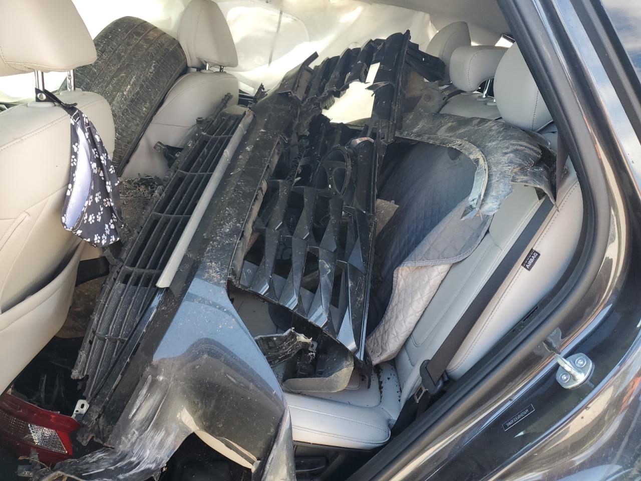 2024 Hyundai Tucson Sel VIN: 5NMJF3DE6RH323699 Lot: 84268525