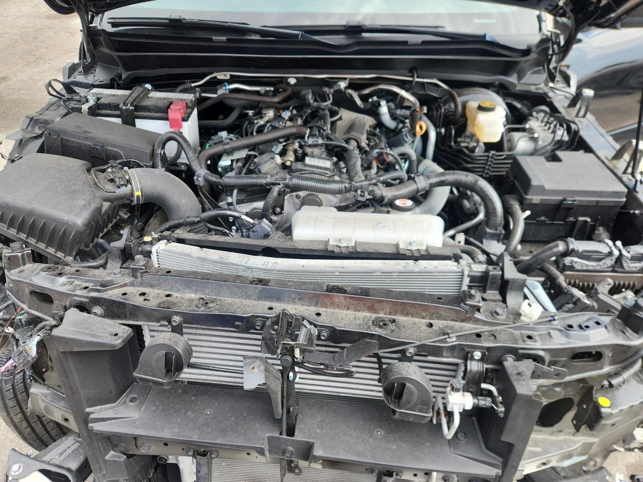 2024 Toyota Tacoma Double Cab VIN: 3TYKB5FN6RT007875 Lot: 80802045