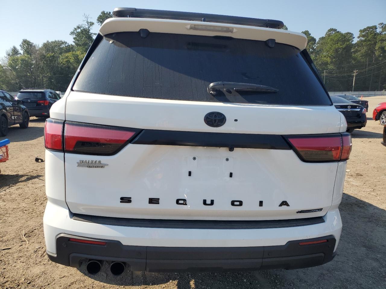 2025 Toyota Sequoia Sr5 VIN: 7SVAAABAXSX052832 Lot: 84647935